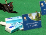 feuerwehrjubilaeum_28.05.17_1107