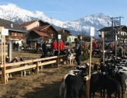 15 Jahre Tscheggenschaf-Verein Mieming – Über 100 Aussteller kamen zur Jubiläumsausstellung