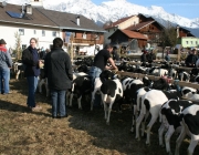 15 Jahre Tscheggenschaf-Verein Mieming – Über 100 Aussteller kamen zur Jubiläumsausstellung