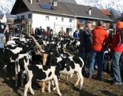 15 Jahre Tscheggenschaf-Verein Mieming – Über 100 Aussteller kamen zur Jubiläumsausstellung