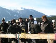 15 Jahre Tscheggenschaf-Verein Mieming – Über 100 Aussteller kamen zur Jubiläumsausstellung