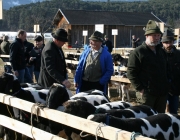 15 Jahre Tscheggenschaf-Verein Mieming – Über 100 Aussteller kamen zur Jubiläumsausstellung