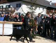 15 Jahre Tscheggenschaf-Verein Mieming – Über 100 Aussteller kamen zur Jubiläumsausstellung