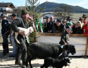 15 Jahre Tscheggenschaf-Verein Mieming – Über 100 Aussteller kamen zur Jubiläumsausstellung