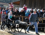 15 Jahre Tscheggenschaf-Verein Mieming – Über 100 Aussteller kamen zur Jubiläumsausstellung