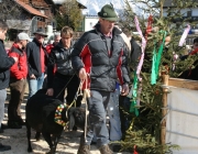 15 Jahre Tscheggenschaf-Verein Mieming – Über 100 Aussteller kamen zur Jubiläumsausstellung