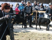 15 Jahre Tscheggenschaf-Verein Mieming – Über 100 Aussteller kamen zur Jubiläumsausstellung