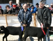 15 Jahre Tscheggenschaf-Verein Mieming – Über 100 Aussteller kamen zur Jubiläumsausstellung