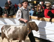 15 Jahre Tscheggenschaf-Verein Mieming – Über 100 Aussteller kamen zur Jubiläumsausstellung
