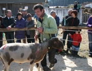 15 Jahre Tscheggenschaf-Verein Mieming – Über 100 Aussteller kamen zur Jubiläumsausstellung