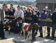 15 Jahre Tscheggenschaf-Verein Mieming – Über 100 Aussteller kamen zur Jubiläumsausstellung