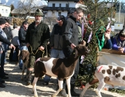 15 Jahre Tscheggenschaf-Verein Mieming – Über 100 Aussteller kamen zur Jubiläumsausstellung