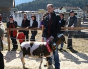 15 Jahre Tscheggenschaf-Verein Mieming – Über 100 Aussteller kamen zur Jubiläumsausstellung