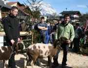 15 Jahre Tscheggenschaf-Verein Mieming – Über 100 Aussteller kamen zur Jubiläumsausstellung