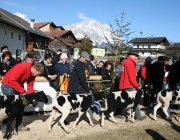 15 Jahre Tscheggenschaf-Verein Mieming – Über 100 Aussteller kamen zur Jubiläumsausstellung