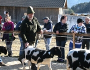 15 Jahre Tscheggenschaf-Verein Mieming – Über 100 Aussteller kamen zur Jubiläumsausstellung