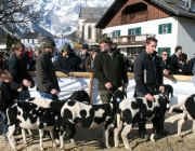 15 Jahre Tscheggenschaf-Verein Mieming – Über 100 Aussteller kamen zur Jubiläumsausstellung