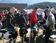15 Jahre Tscheggenschaf-Verein Mieming – Über 100 Aussteller kamen zur Jubiläumsausstellung