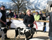15 Jahre Tscheggenschaf-Verein Mieming – Über 100 Aussteller kamen zur Jubiläumsausstellung