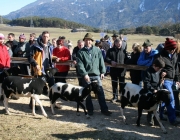 15 Jahre Tscheggenschaf-Verein Mieming – Über 100 Aussteller kamen zur Jubiläumsausstellung