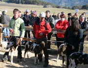 15 Jahre Tscheggenschaf-Verein Mieming – Über 100 Aussteller kamen zur Jubiläumsausstellung