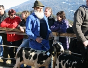 15 Jahre Tscheggenschaf-Verein Mieming – Über 100 Aussteller kamen zur Jubiläumsausstellung