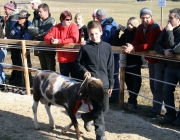 15 Jahre Tscheggenschaf-Verein Mieming – Über 100 Aussteller kamen zur Jubiläumsausstellung