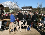 15 Jahre Tscheggenschaf-Verein Mieming – Über 100 Aussteller kamen zur Jubiläumsausstellung