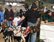 15 Jahre Tscheggenschaf-Verein Mieming – Über 100 Aussteller kamen zur Jubiläumsausstellung
