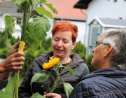 30 Jahre Gesundheits- & Sozialsprengel Mieminger Plateau