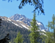 40 Jahre Marienberg Alm – Die Almleit kehren heim ins Tal