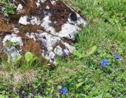 40 Jahre Marienberg Alm – Die Almleit kehren heim ins Tal