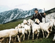40 Jahre Marienberg Alm – Die Almleit kehren heim ins Tal
