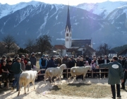 40 Jahre Schafzuchtverein Untermieming