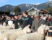 40 Jahre Schafzuchtverein Untermieming