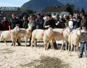 40 Jahre Schafzuchtverein Untermieming