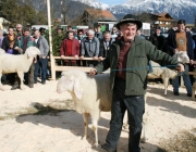 40 Jahre Schafzuchtverein Untermieming