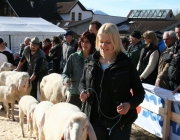 40 Jahre Schafzuchtverein Untermieming