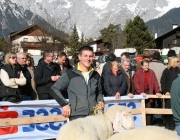 40 Jahre Schafzuchtverein Untermieming
