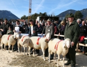 40 Jahre Schafzuchtverein Untermieming
