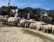 40 Jahre Schafzuchtverein Untermieming