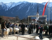 40 Jahre Schafzuchtverein Untermieming