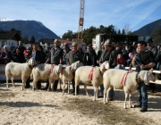 40 Jahre Schafzuchtverein Untermieming