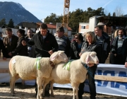 40 Jahre Schafzuchtverein Untermieming