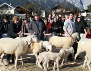 40 Jahre Schafzuchtverein Untermieming