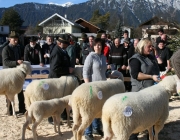 40 Jahre Schafzuchtverein Untermieming