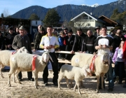 40 Jahre Schafzuchtverein Untermieming