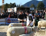 40 Jahre Schafzuchtverein Untermieming
