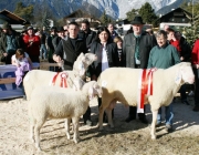 40 Jahre Schafzuchtverein Untermieming