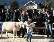 40 Jahre Schafzuchtverein Untermieming